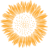 SUNFLOWER ICON